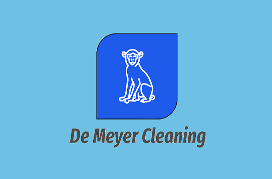 ruitenwassers Rupelmonde De Meyer Cleaning