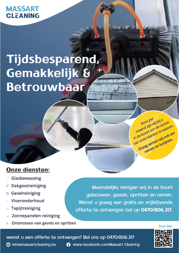 ruitenwassers Rupelmonde Massart Cleaning